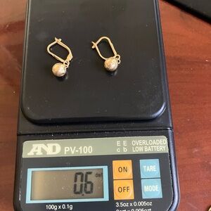 Elegant Gold Drop Earrings